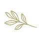 Leaf